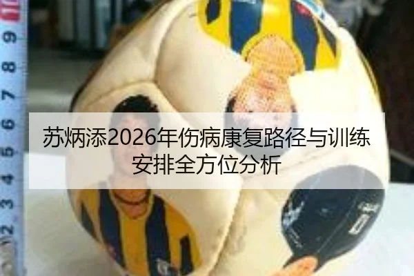 苏炳添2026年伤病康复路径与训练安排全方位分析