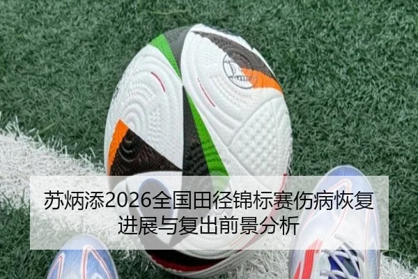 苏炳添2026全国田径锦标赛伤病恢复进展与复出前景分析